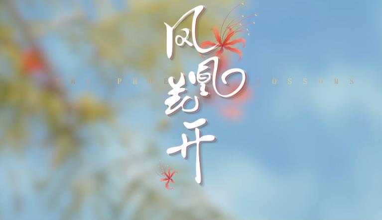 海南大学：凤凰花开