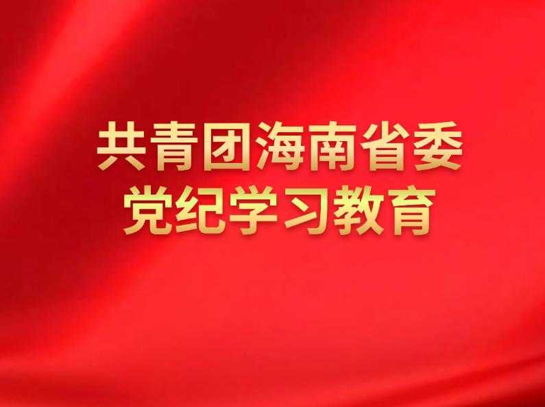 团省委党纪学习教育